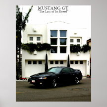 Mustang GT Posters