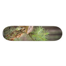 Mycket liten vildchampinjon anpassningsbara skateboard