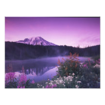 N.A. USA, Washington, Mount Rainier medborgare Fotografi