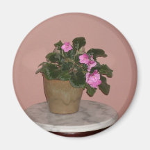 Nanas afrikanska Violet Kylskåpmagneter