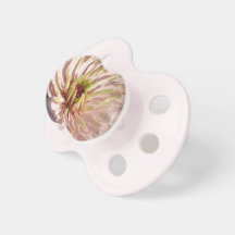 Nappar - mest blek rosa Zinnia