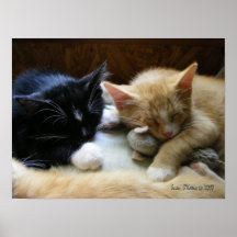 "Naptime ", Affischer