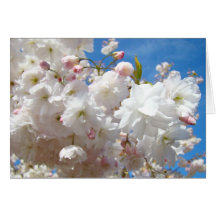När du gifta sig våren blomstrar kortanpassningsba