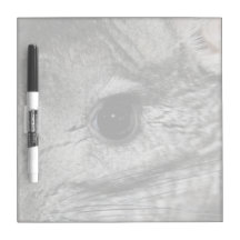 nära övre för chinchillaöga dry erase board