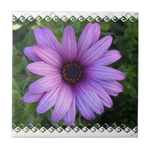 Nätt Asterblomma Trivet Kakelplatta Av Kerami
