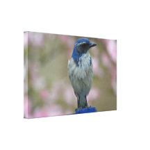 Nätt fågel canvastryck