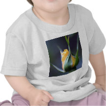 Nätt gul ros tröja