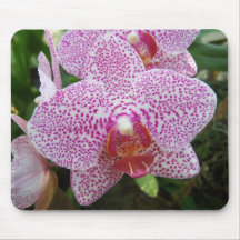 Nätt Orchid Mus Mattor