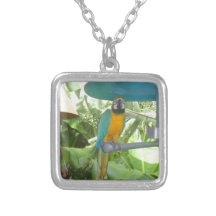 Nätt papegoja halsband