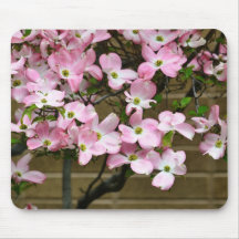Nätt rosa Dogwoodblommor Musmattor