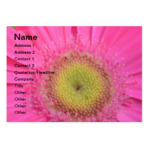 Nätt rosa Gerbera Visit Kort