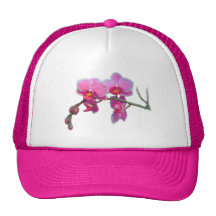 Nätt rosa orchidblommor baseball hat