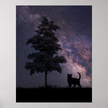 Nattkatt Posters