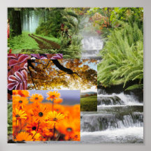 Natur Posters