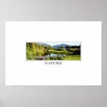 natur affischer