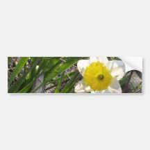 natur för blommigt för påskliljagultblomma bildekal
