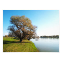 natur fotografiska tryck
