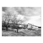 natur fotografier