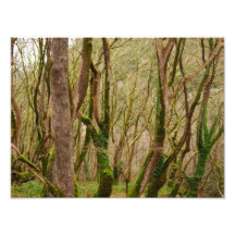natur fotografier