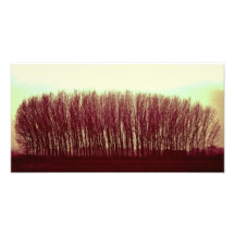 natur fotontryck