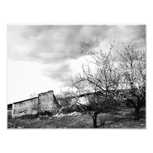natur fototryck