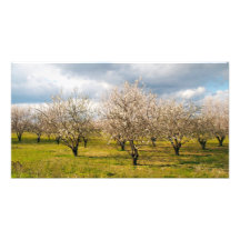natur fotokonst