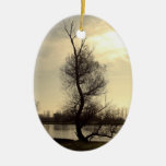 natur jul dekorationer