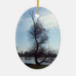 natur juldekoration