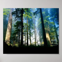 Natur Poster