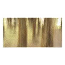 Naturabstrakt Hälsningskort Med Foto