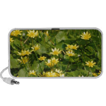 NATUREN Small-yellow-flowers-in-grass1957 BLOMMAR  Högtalare Att Ta Med Sig