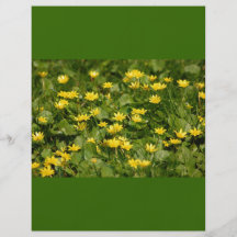 NATUREN Small-yellow-flowers-in-grass1957 BLOMMAR  Flygblad