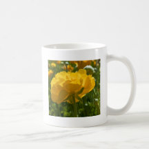Naturer gulnar skönhet kaffe koppar