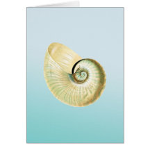 Nautilussnäcka Hälsningskort
