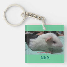 Nea Keds Skor