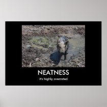 NEATNESS AFFISCHER