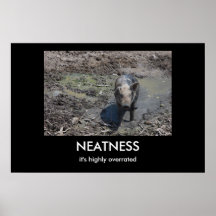 NEATNESS AFFISCHER