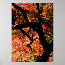 Nedgångträd Print