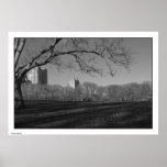 New York Central Park vinteraffisch