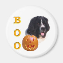 Newfoundland (landseer) Halloween bu Magnet För Kylskåp