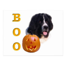 Newfoundland (landseer) Halloween bu Vykort