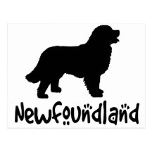 Newfoundland med kall text vykort