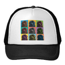 Newfoundland Pop-Konst Trucker Keps