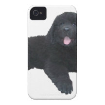 Newfoundland valp iPhone 4 cover