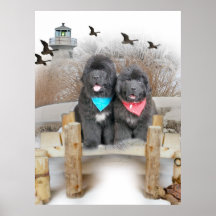 Newfoundland valpar på strand print