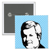 NEWT GINGRICH SAMTALHUVUD KNAPP MED NÅL