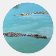 Nile krokodiler klistermärken