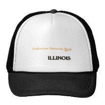 Nordvästlig universitetenstrandIllinois klassiker Trucker Keps