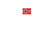 Norsk flagga