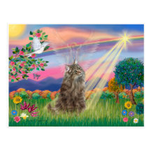 Norsk skogkatt - molnängel vykort